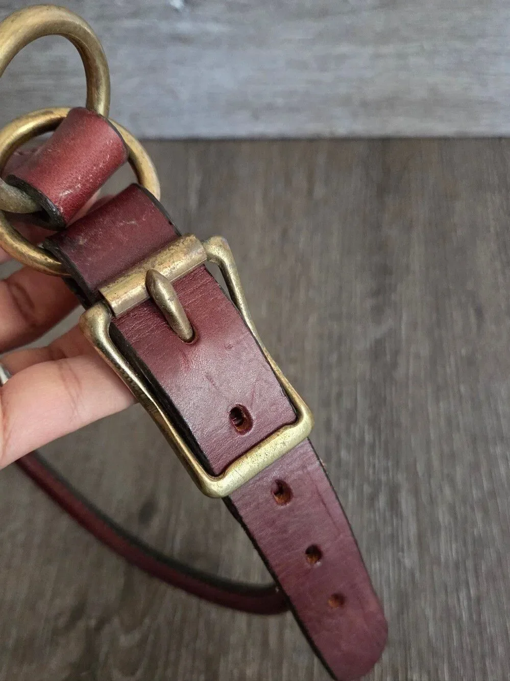Mendota Leather Rolled Collar - Chestnut - 24